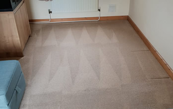 Carpet & Rug Cleaning